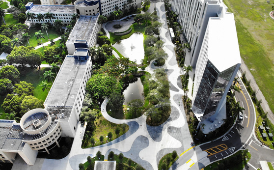 Florida visual data 8